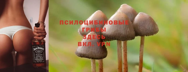 прущая мука Надым