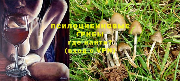 прущая мука Надым